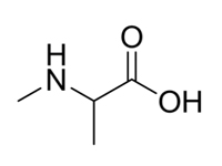 N-甲基-DL-丙氨酸，98%（HPLC） 